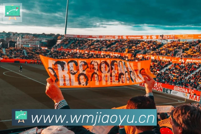 博鱼官网登录入口发展历程