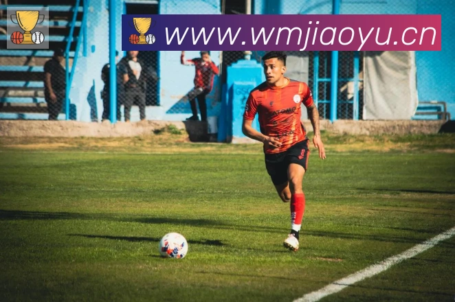 博鱼官网登录入口荣誉