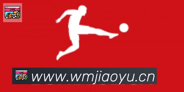 博鱼官网登录入口合作伙伴